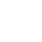 fast spedizione gratuita sopra i 100 euro